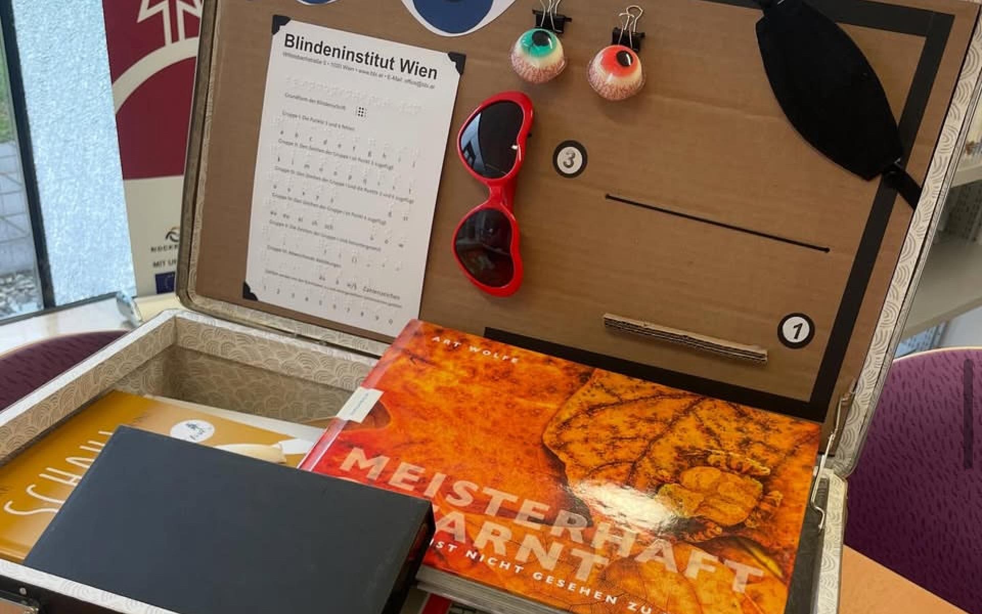 Bücherkoffer Sehen